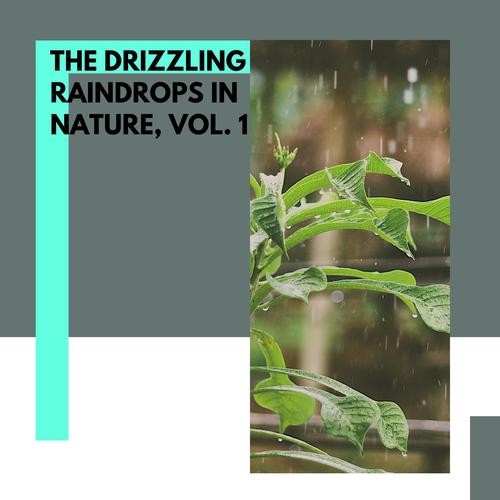 The Drizzling Raindrops in Nature, Vol. 1