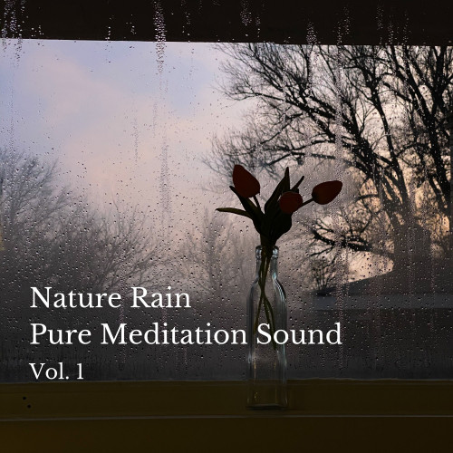 Nature Rain Pure Meditation Sound Vol. 1 - 1 Hour