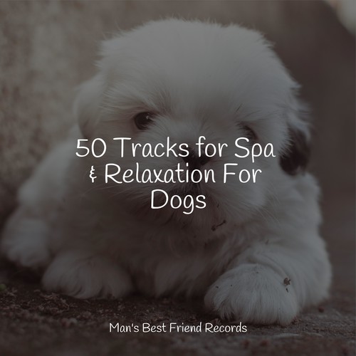 50 Tracks for Spa & Relaxation For Dogs