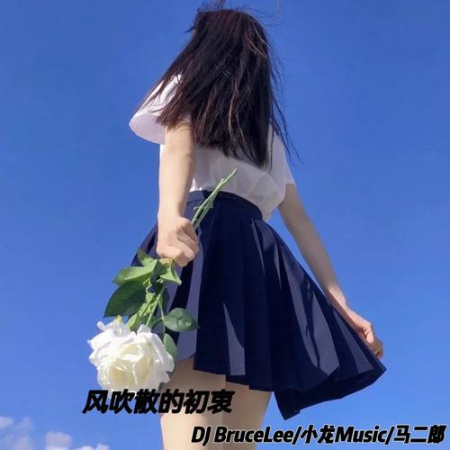 被风吹散的初衷