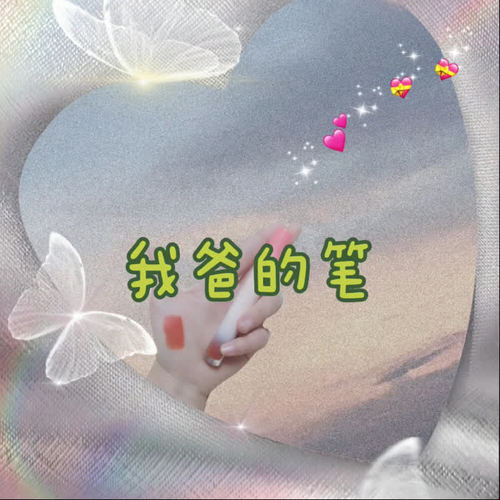 我爸的笔