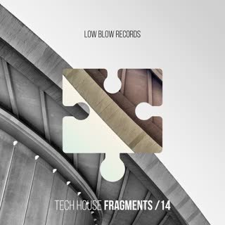 Tech House Fragments 14