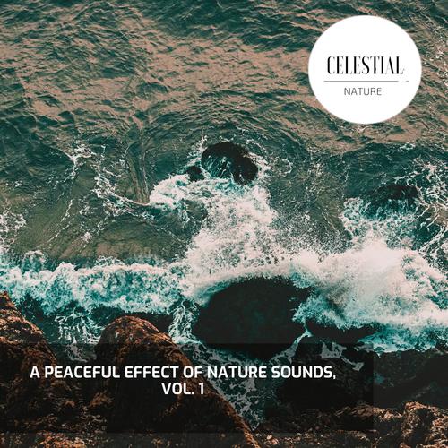 A Peaceful Effect of Nature Sounds, Vol. 1