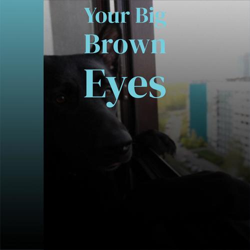 Your Big Brown Eyes