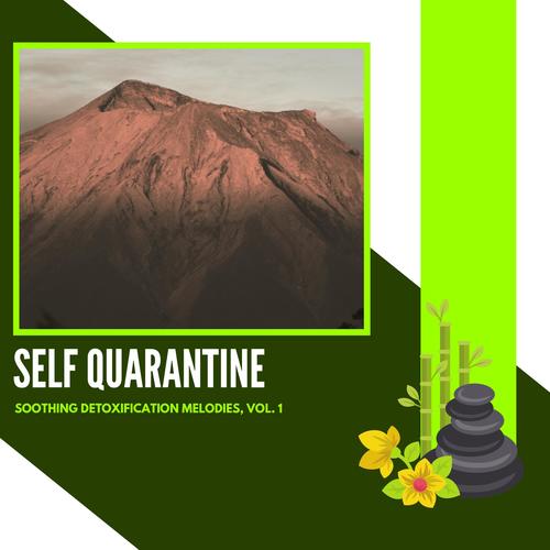 Self Quarantine - Soothing Detoxification Melodies, Vol. 1