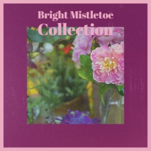 Bright Mistletoe Collection (Explicit)