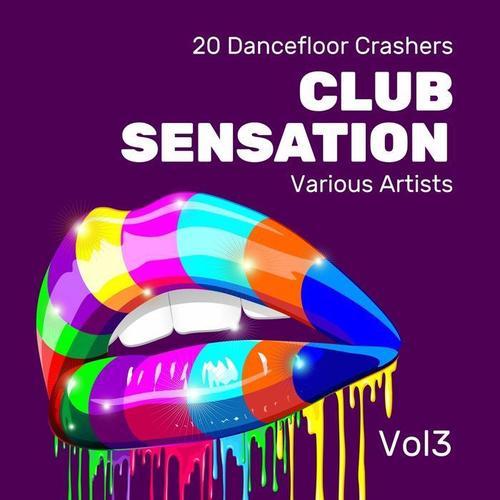 Club Sensation (20 Dancefloor Crashers) , Vol. 3