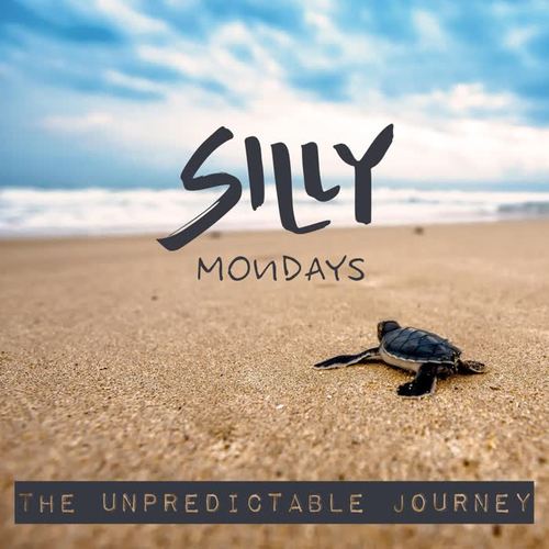 The Unpredictable Journey
