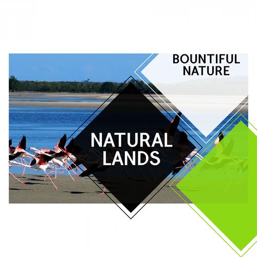 Natural Lands - Bountiful Nature