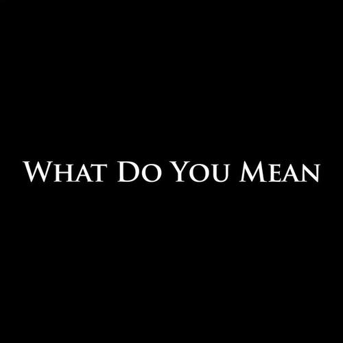 What Do You Mean