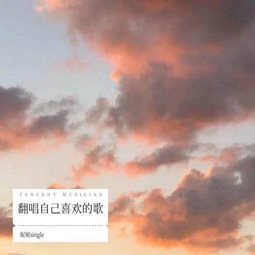 南墙 (cover: 秀秀)(其他) - 妮妮single