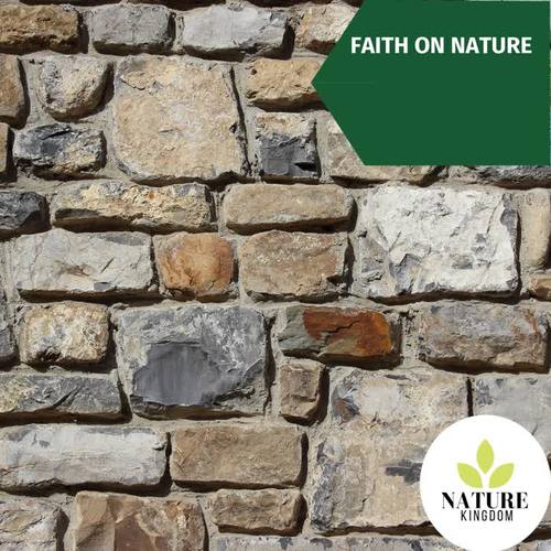 Faith on Nature