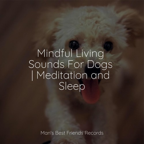 Mindful Living Sounds For Dogs | Meditation and Sleep