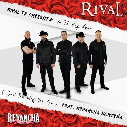 Yo Te Voy Amar (feat. Revancha Norteña)