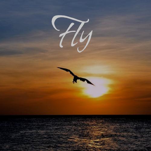 Fly