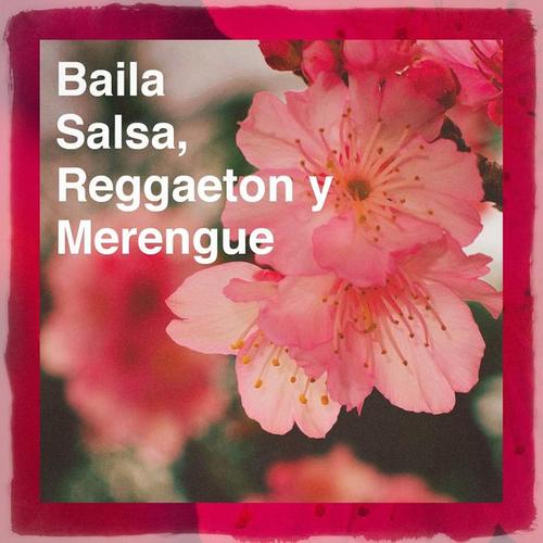 Baila Salsa, Reggaeton y Merengue