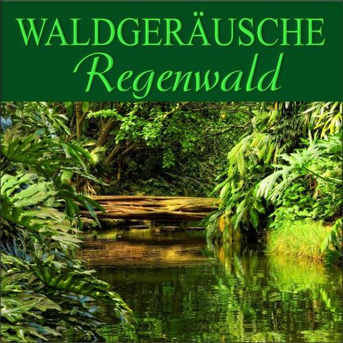 Regenwald