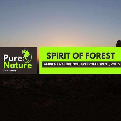 Spirit of Forest - Ambient Nature Sounds from Forest, Vol.5