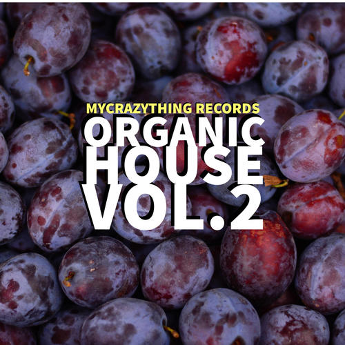 Organic House, Vol. 2