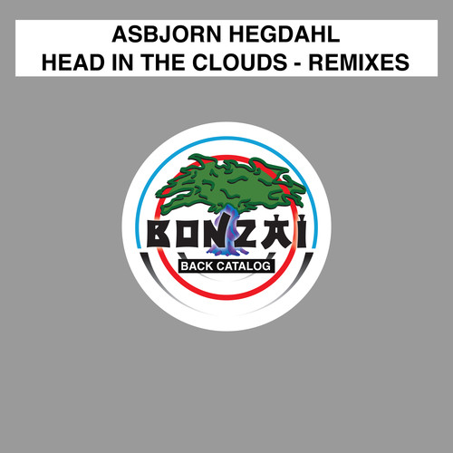 Head In The Clouds (Remixes)