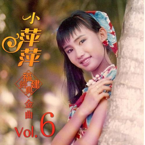 小萍萍福建经典金曲, Vol. 6