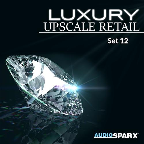 Luxury Upscale Retail, Set 12