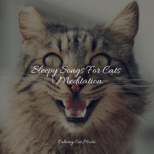 Sleepy Songs For Cats | Meditation