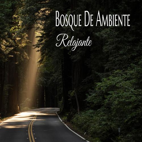 Bosque De Ambiente Relajante