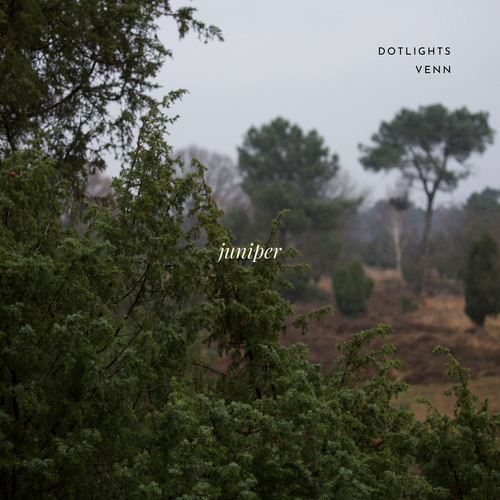 Juniper