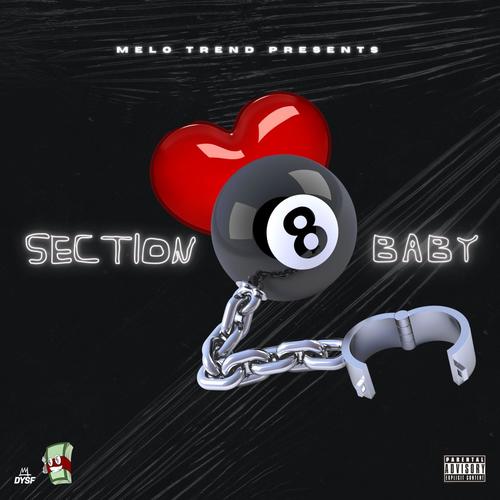 Section 8 Baby (Explicit)