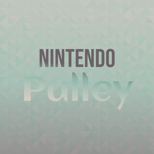 Nintendo Pulley