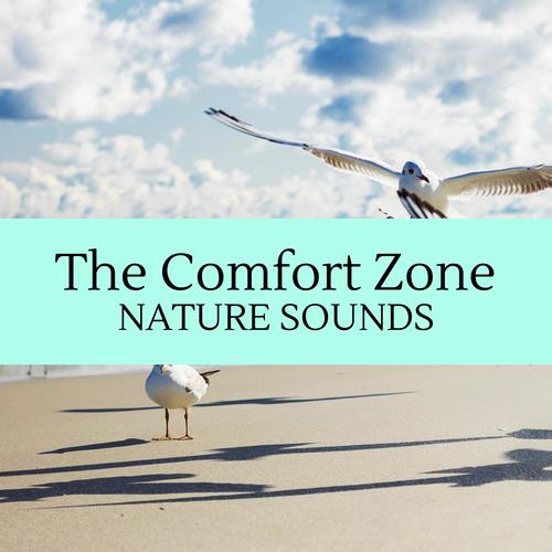 The Comfort Zone - Nature Sounds