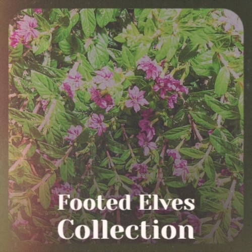 Footed Elves Collection