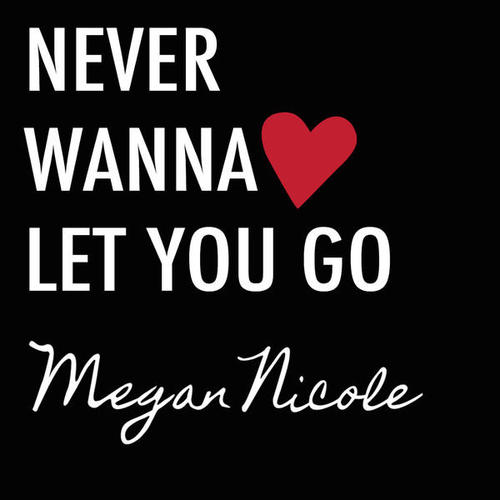 Never Wanna Let You Go - Single