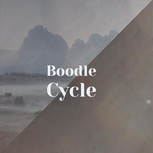 Boodle Cycle