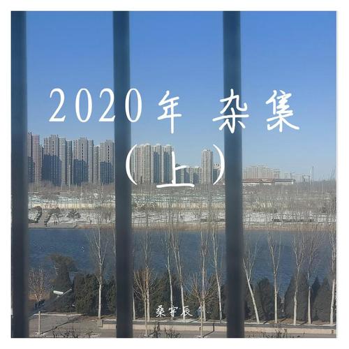 2020年 杂集（上）