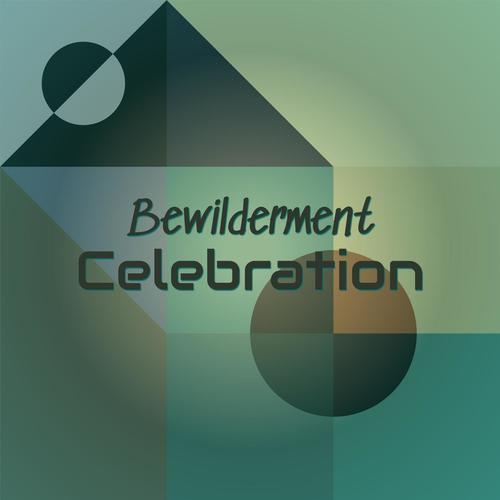 Bewilderment Celebration