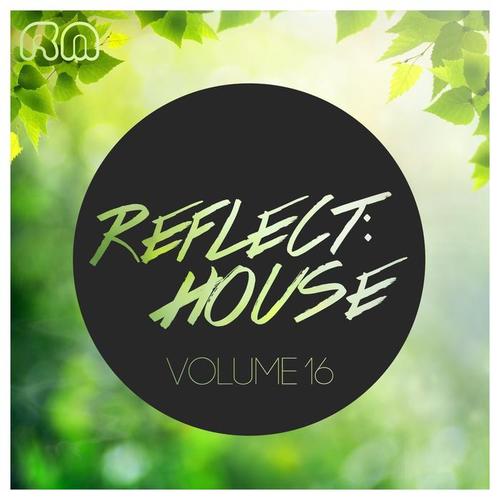 Reflect:House, Vol. 16