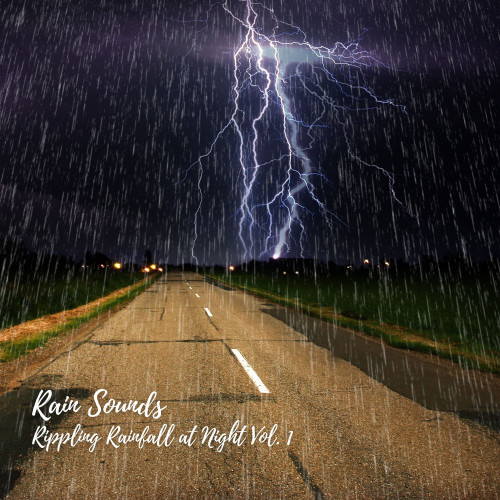 Rain Sounds: Rippling Rainfall at Night Vol. 1