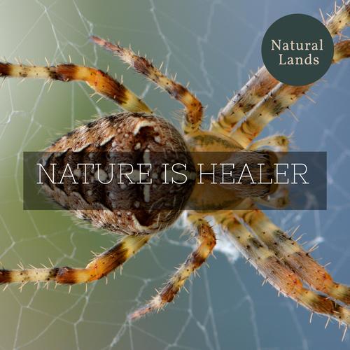 Nature is Healer