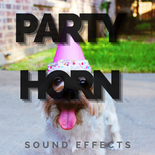 Party Horn Sound Effects