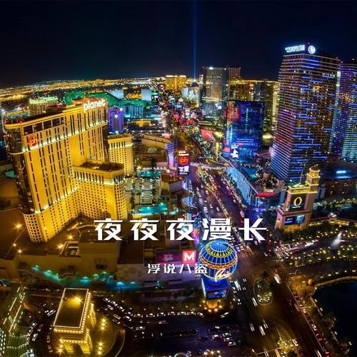 夜夜夜漫长dj