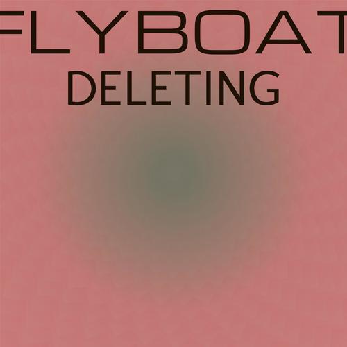 Flyboat Deleting