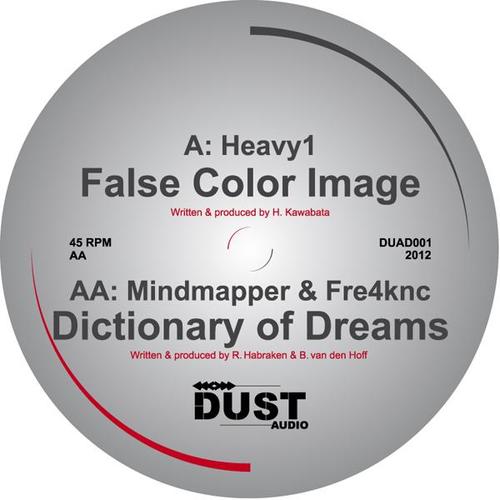 False Color Image / Dictionary Of Dreams