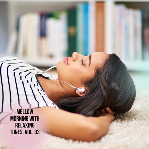 Mellow Morning with Relaxing Tunes, Vol. 03