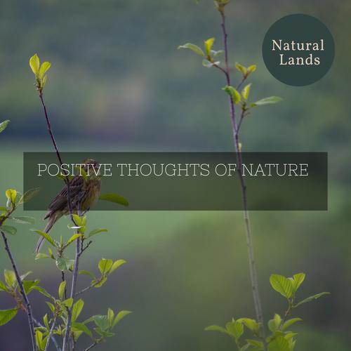 Positive Thoughts of Nature