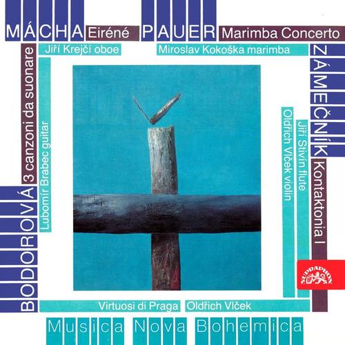 Mácha, Pauer, Bodorová and Zámečník: Chamber Works for Strings