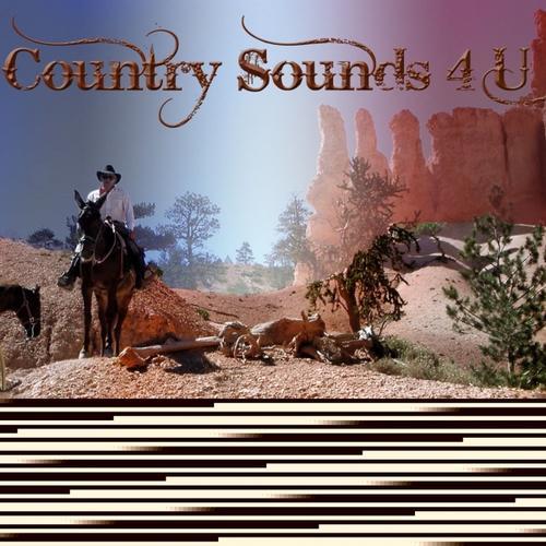 Country Sounds 4 U, Vol. 3