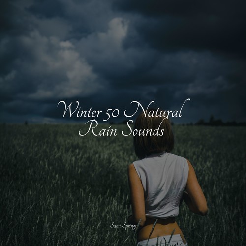 Winter 50 Natural Rain Sounds