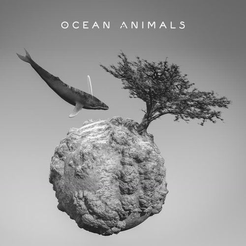 Ocean Animals: Binaural Sounds of Dolphins, Whales and Deepest Ocean Creatures